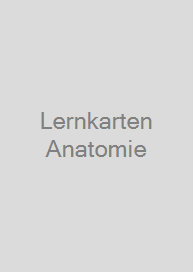 Lernkarten Anatomie