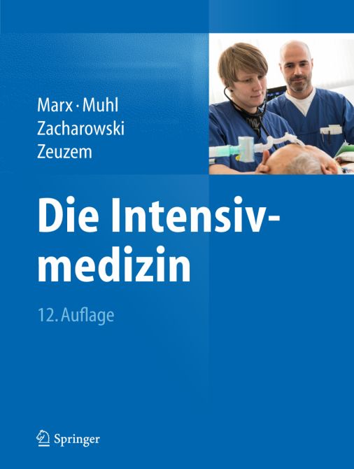 Die Intensivmedizin / Print + eReference