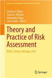 Cover Theory and Practice of Risk Assessment