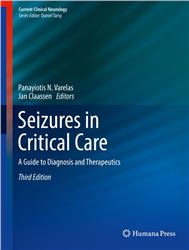 Cover Seizures in Critical Care