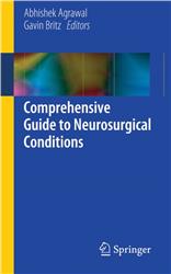 Cover Comprehensive Guide to Neurosurgical Conditions