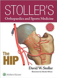 Cover Stoller's Orthopaedics and Sports Medicine: The Hip