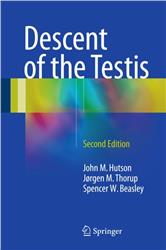 Cover Descent of the Testis