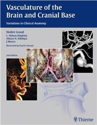 Cover Vasculature of the Brain and Cranial Base