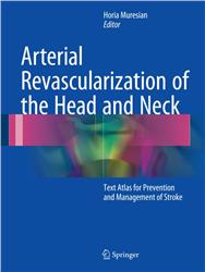 Cover Arterial Revascularization of the Head and Neck