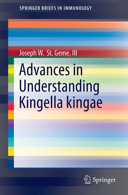 Advances in Understanding Kingella kingae