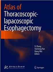 Cover Atlas of Thoracoscopic-Lapacoscopic Esophagectomy