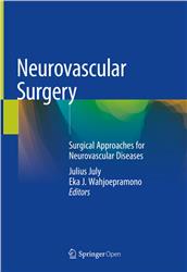 Cover Neurovascular Surgery: Surgical Approaches for Neurovascular Diseases