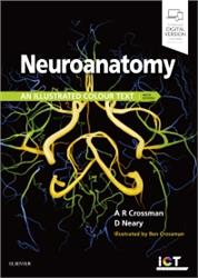 Cover Neuroanatomy: An Illustrated Colour Text