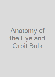 Anatomy of the Eye and Orbit Bulk