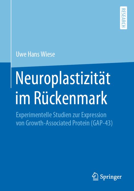 Neuroplastizität im Rückenmark