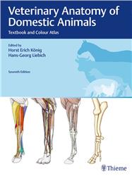 Cover Veterinary Anatomy of Domestic Animals