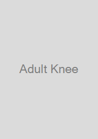 Cover Adult Knee