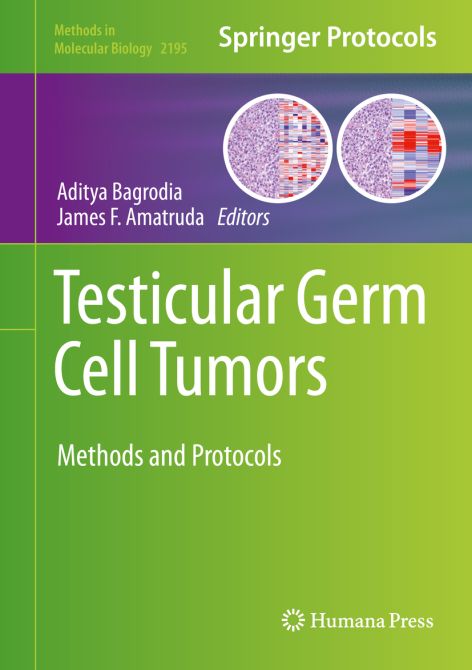 Testicular Germ Cell Tumors: Methods and Protocols
