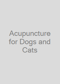 Acupuncture for Dogs and Cats