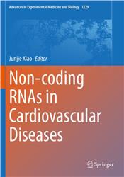 Cover Non-coding RNAs in Cardiovascular Diseases