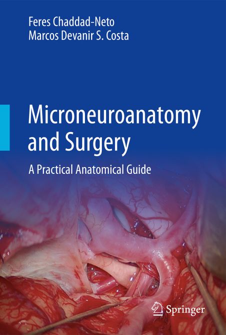 Microneuroanatomy and Surgery