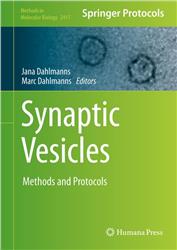 Cover Synaptic Vesicles