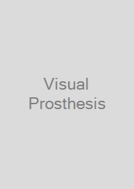Visual Prosthesis