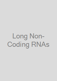 Long Non-Coding RNAs