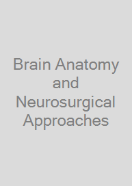 Cover Brain Anatomy and Neurosurgical Approaches