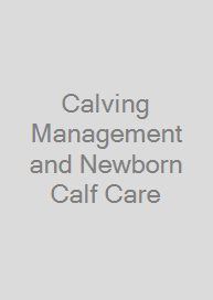 Calving Management and Newborn Calf Care