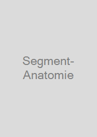 Cover Segment-Anatomie