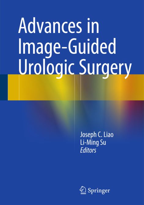 Advances in Image-Guided Urologic Surgery