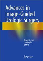 Cover Advances in Image-Guided Urologic Surgery