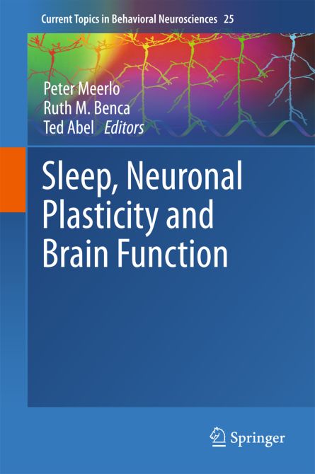 Sleep, Neuronal Plasticity and Brain Function