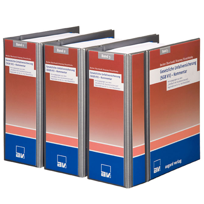 Handbuch der Sozialversicherung - Fortsetzungswerk in 3 Ordnern