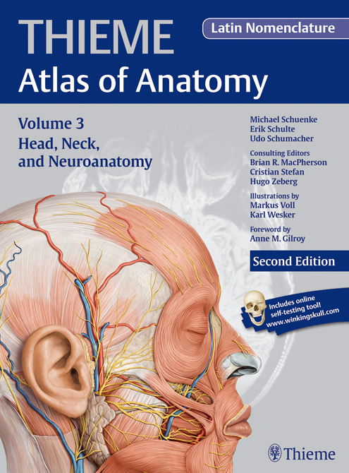 THIEME - Atlas of Anatomy