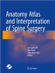 Cover Anatomy Atlas and Interpretation of Spine Surgery