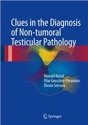 Cover Clues in the Diagnosis of Non-tumoral Testicular Pathology