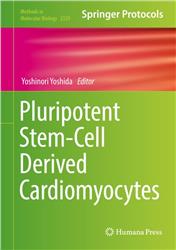 Cover Pluripotent Stem-Cell Derived Cardiomycytes
