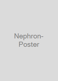 Cover Nephron-Poster