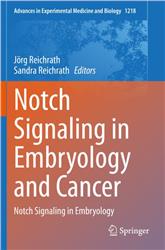 Cover Notch Signaling in Embryology and Cancer