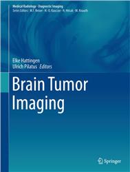 Cover Brain Tumor Imaging