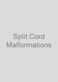 Cover Split Cord Malformations