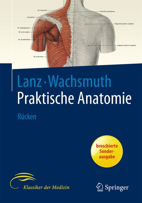 Praktische Anatomie Rücken