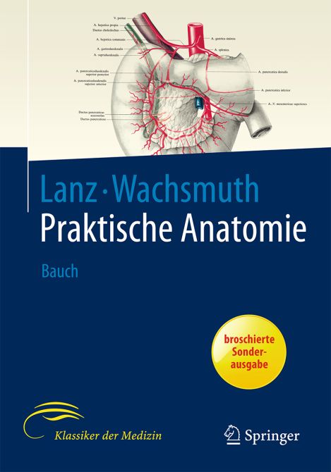 Praktische Anatomie Bauch