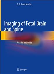 Cover Imaging of Fetal Brain and Spine