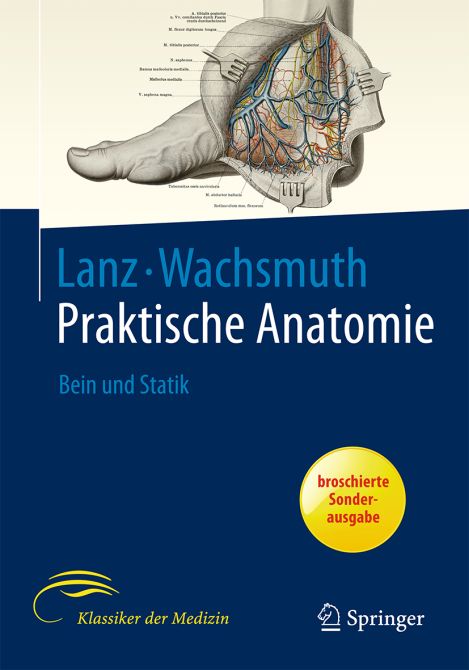 Praktische Anatomie Bein und Statik