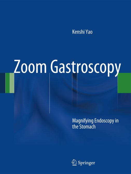 Zoom Gastroscopy