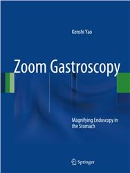 Cover Zoom Gastroscopy