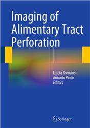 Cover Imaging of Alimentary Tract Perforation