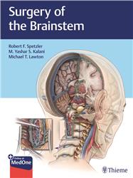 Cover Surgery of the Brainstem