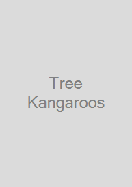 Cover Tree Kangaroos