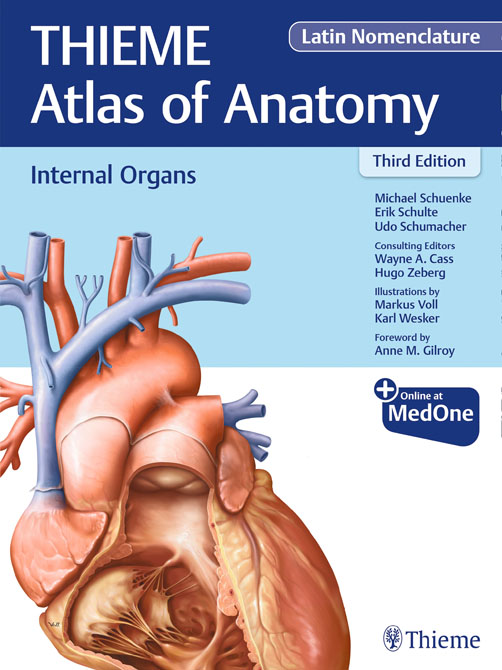 Internal Organs (Thieme Atlas of Anatomy)