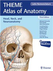 Cover Head, Neck, and Neuroanatomy (Thieme Atlas of Anatomy)